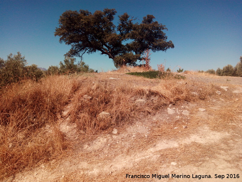 Yacimiento Cortijo del Fondo de las Caseras de San Isidro - Yacimiento Cortijo del Fondo de las Caseras de San Isidro. 