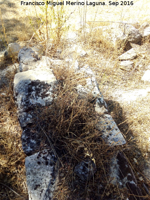 Yacimiento Cortijo del Fondo de las Caseras de San Isidro - Yacimiento Cortijo del Fondo de las Caseras de San Isidro. Muro