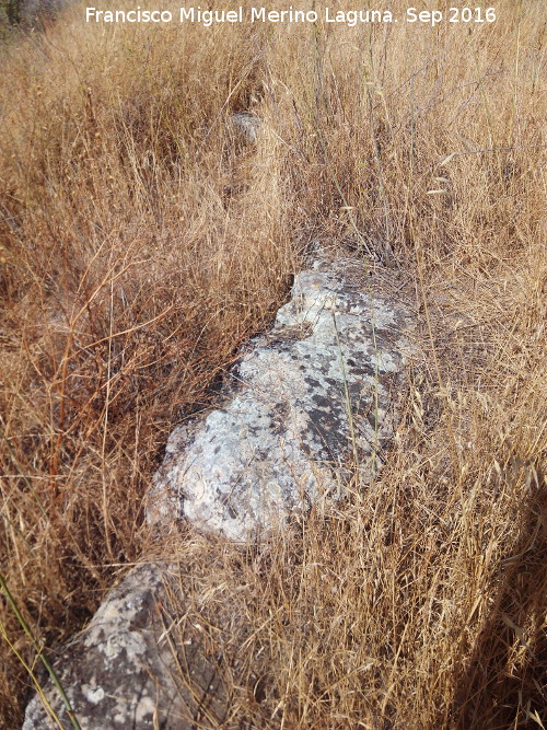 Yacimiento Cortijo del Fondo de las Caseras de San Isidro - Yacimiento Cortijo del Fondo de las Caseras de San Isidro. Muro