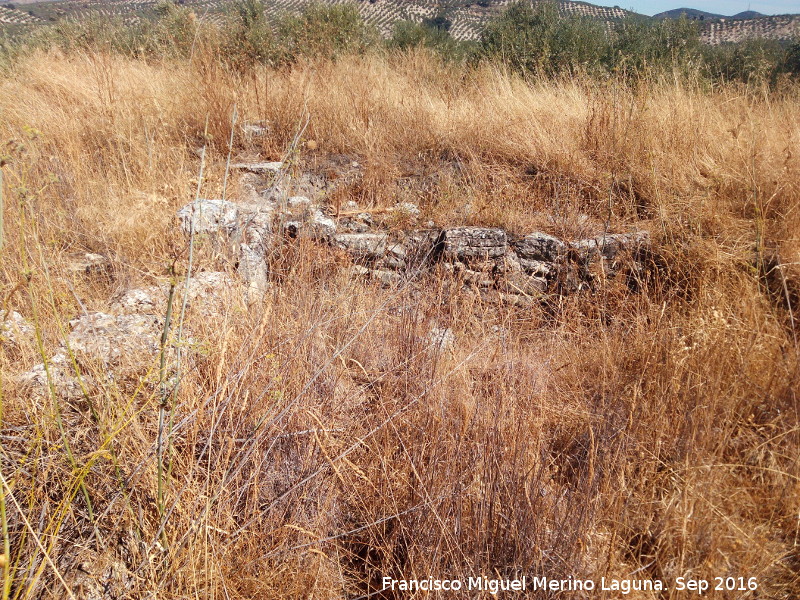 Yacimiento Cortijo del Fondo de las Caseras de San Isidro - Yacimiento Cortijo del Fondo de las Caseras de San Isidro. 