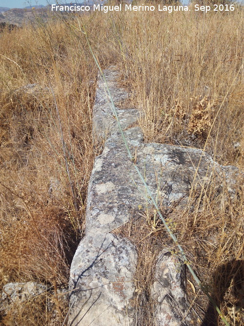 Yacimiento Cortijo del Fondo de las Caseras de San Isidro - Yacimiento Cortijo del Fondo de las Caseras de San Isidro. Muro