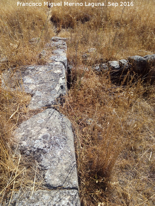 Yacimiento Cortijo del Fondo de las Caseras de San Isidro - Yacimiento Cortijo del Fondo de las Caseras de San Isidro. 