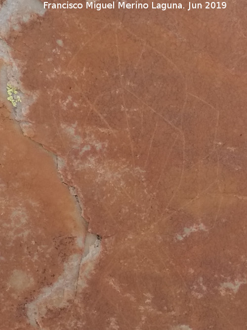 Pinturas rupestres y grabados del Poyo del Medio de la Cimbarra I - Pinturas rupestres y grabados del Poyo del Medio de la Cimbarra I. Grabado del arboriforme