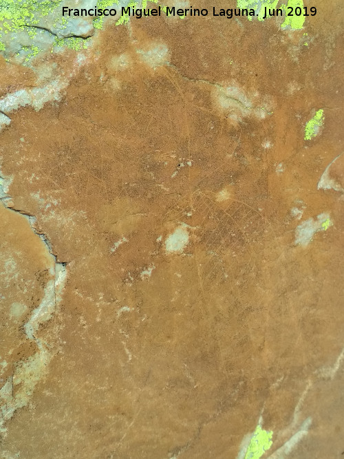 Pinturas rupestres y grabados del Poyo del Medio de la Cimbarra I - Pinturas rupestres y grabados del Poyo del Medio de la Cimbarra I. Arboriforme y pjaro