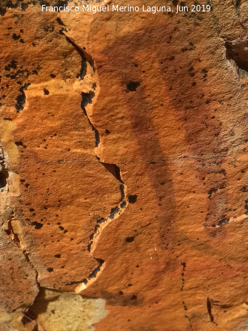 Pinturas rupestres del Poyo del Medio de la Cimbarra III - Pinturas rupestres del Poyo del Medio de la Cimbarra III. 