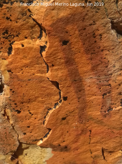 Pinturas rupestres del Poyo del Medio de la Cimbarra III - Pinturas rupestres del Poyo del Medio de la Cimbarra III. 