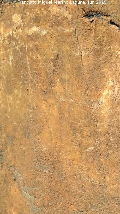Pinturas rupestres y grabados del Poyo del Medio de la Cimbarra IV - Pinturas rupestres y grabados del Poyo del Medio de la Cimbarra IV. Grabado ramiforme