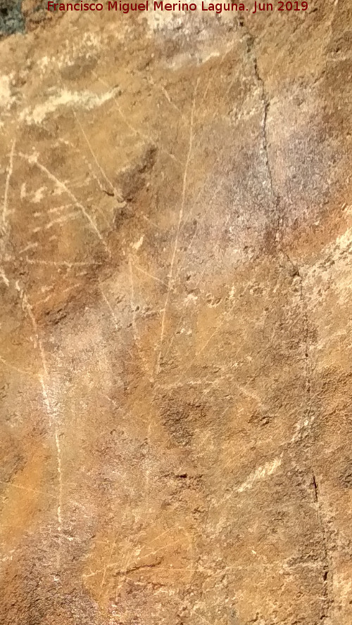 Pinturas rupestres y grabados del Poyo del Medio de la Cimbarra IV - Pinturas rupestres y grabados del Poyo del Medio de la Cimbarra IV. Detalle del grabado ramiforme