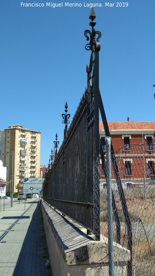 Hospital de los Marqueses de Linares - Hospital de los Marqueses de Linares. Reja