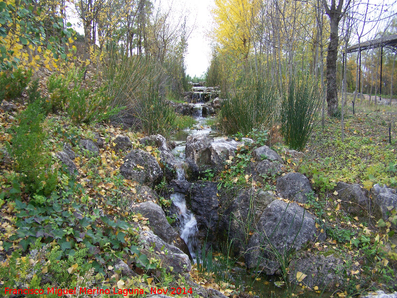 Jardn Micolgico La Trufa - Jardn Micolgico La Trufa. 