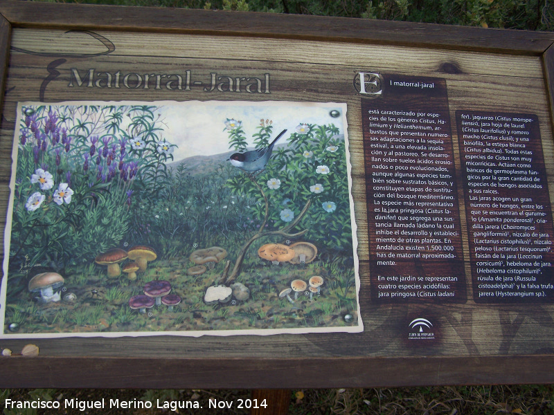 Jardn Micolgico La Trufa - Jardn Micolgico La Trufa. Cartel
