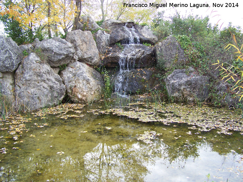 Jardn Micolgico La Trufa - Jardn Micolgico La Trufa. 