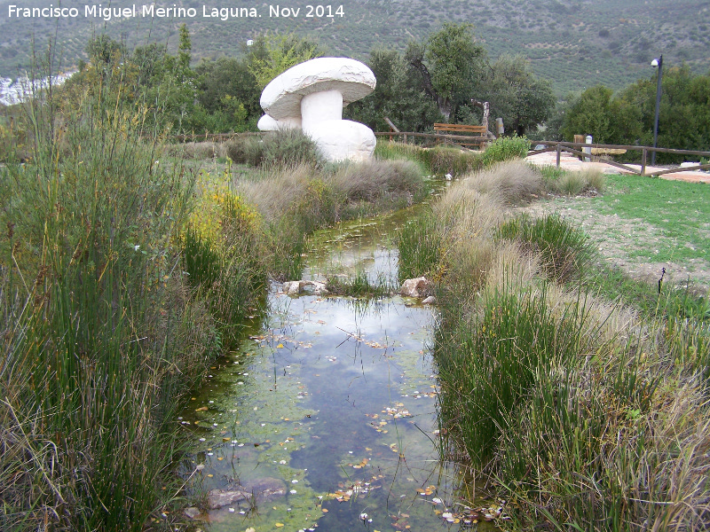 Jardn Micolgico La Trufa - Jardn Micolgico La Trufa. 