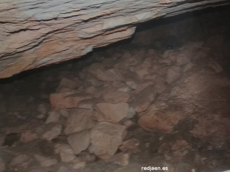 Yacimiento Cueva de la Sima - Yacimiento Cueva de la Sima. 