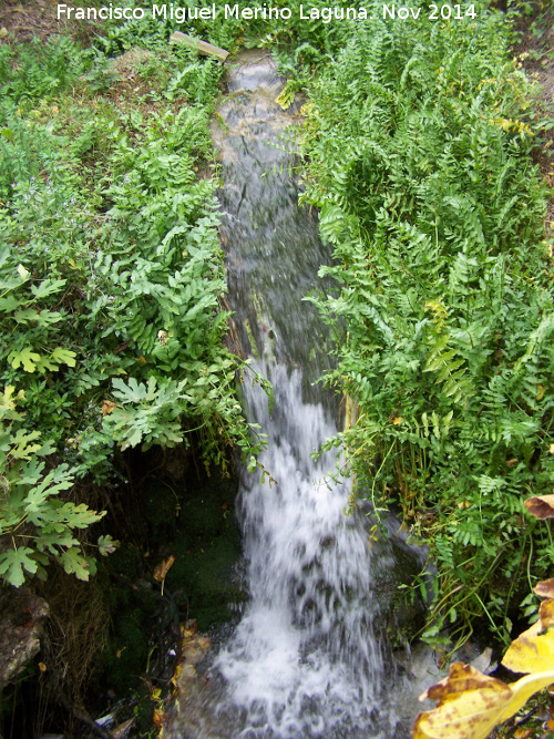 Cascada de Zagrilla Baja - Cascada de Zagrilla Baja. 