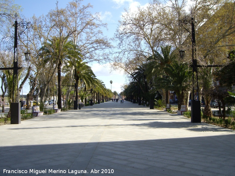 Paseo de Linarejos - Paseo de Linarejos. 