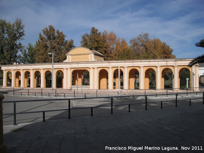 Fuente del Pisar - Fuente del Pisar. 