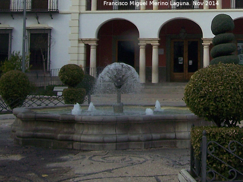 Fuente de la Plaza de la Constitucin - Fuente de la Plaza de la Constitucin. 