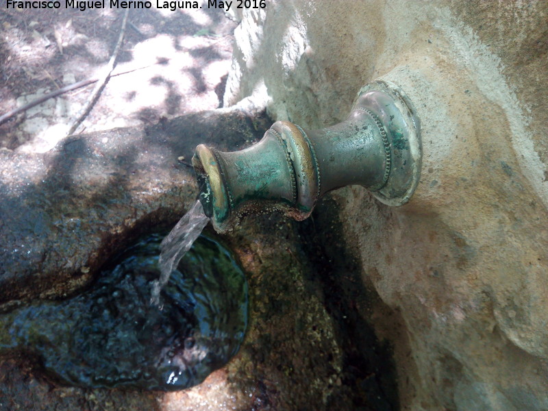 Fuente del Cerro - Fuente del Cerro. Cao