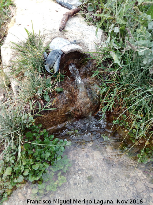 Fuente del Palo - Fuente del Palo. 