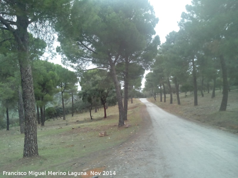 Camino del Helechar - Camino del Helechar. 