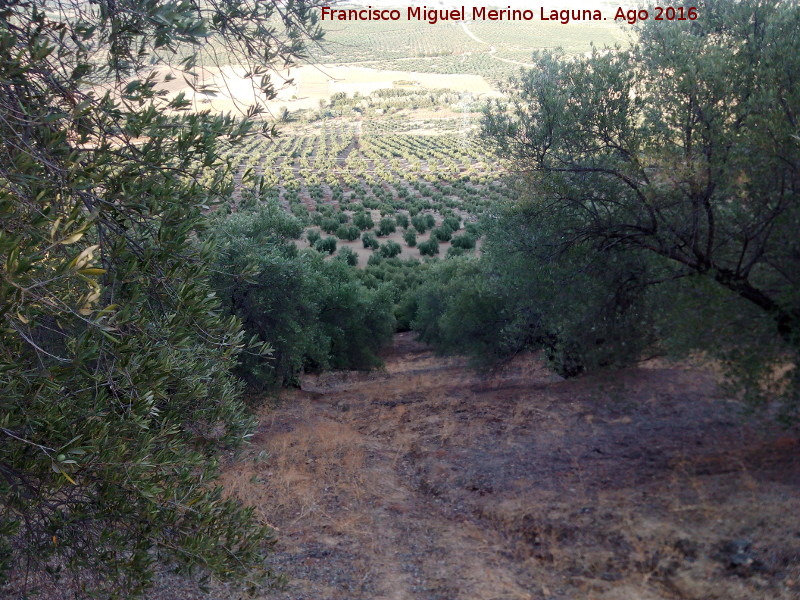 Nido de ametralladoras del Cerro Morrn - Nido de ametralladoras del Cerro Morrn. Vistas hacia los otros nidos de ametralladoras del Arroyo Salado