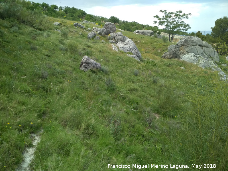 Yacimiento Paraje de Cnaba - Yacimiento Paraje de Cnaba. 