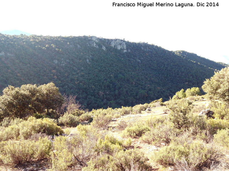 Piedra del guila - Piedra del guila. 