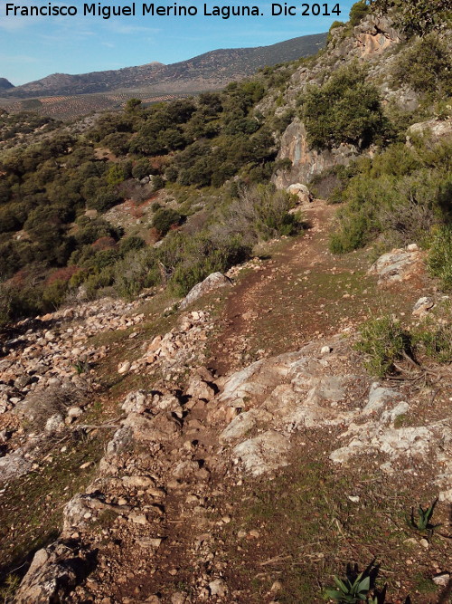 Camino viejo de Mata Bejid - Camino viejo de Mata Bejid. 