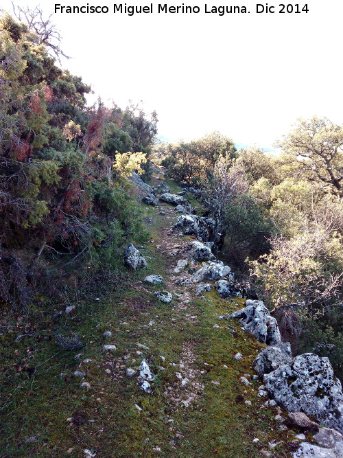 Camino viejo de Mata Bejid - Camino viejo de Mata Bejid. 