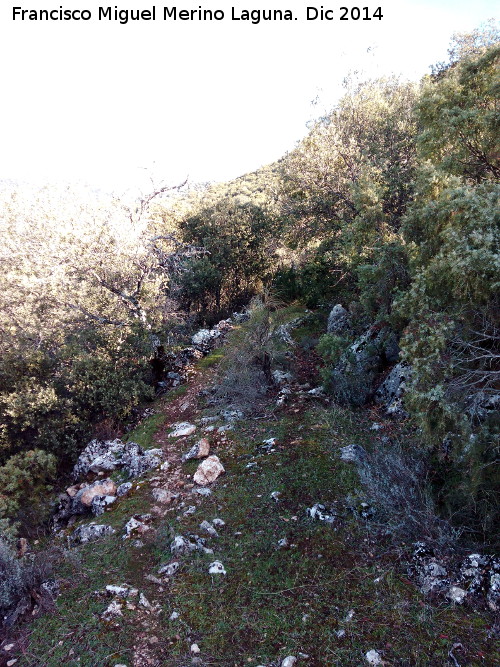 Camino viejo de Mata Bejid - Camino viejo de Mata Bejid. 