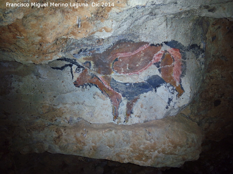 Pinturas rupestres falsas de la Cueva de la Solana - Pinturas rupestres falsas de la Cueva de la Solana. 