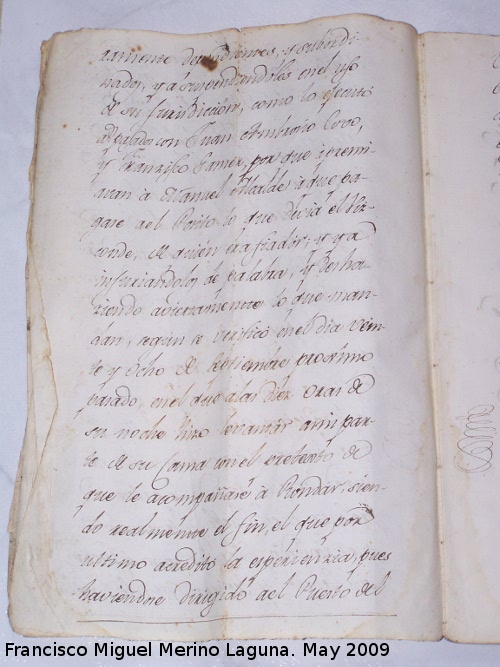 Auto de Carlos IV - Auto de Carlos IV. ramente dependientes, y subordi-<br>
nados, y a ??? en el uso<br>
de su funcin, como lo ejecuto<br>
??? con Juan Ambrosio Covo<br>
y Francisco Gamez, por que apremi-<br>
avan a Manuel Alcalde a 