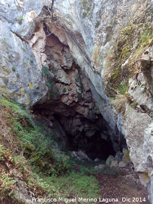 Cueva del Tocino - Cueva del Tocino. Entrada
