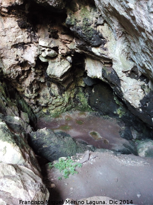 Cueva del Tocino - Cueva del Tocino. Interior