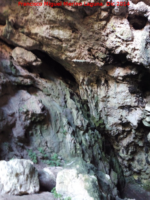 Cueva del Tocino - Cueva del Tocino. Paredes