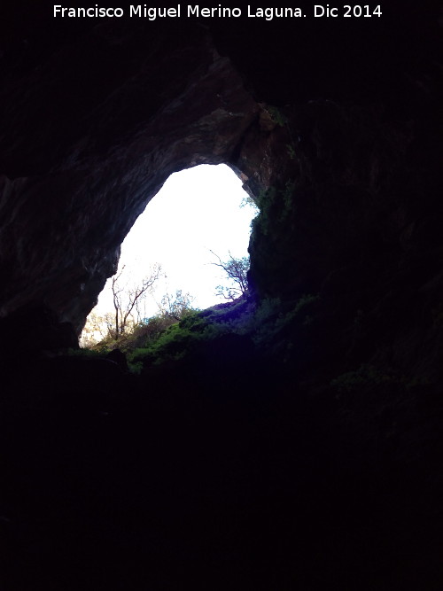 Cueva del Tocino - Cueva del Tocino. Entrada