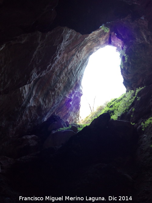 Cueva del Tocino - Cueva del Tocino. Entrada