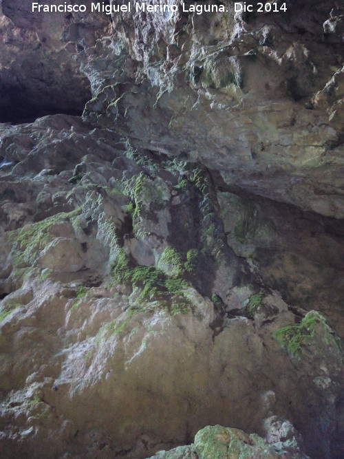 Cueva del Tocino - Cueva del Tocino. Formaciones rocosas