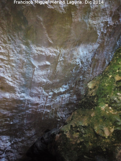 Cueva del Tocino - Cueva del Tocino. Paredes
