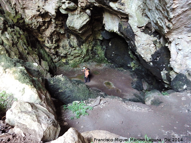 Cueva del Tocino - Cueva del Tocino. Interior