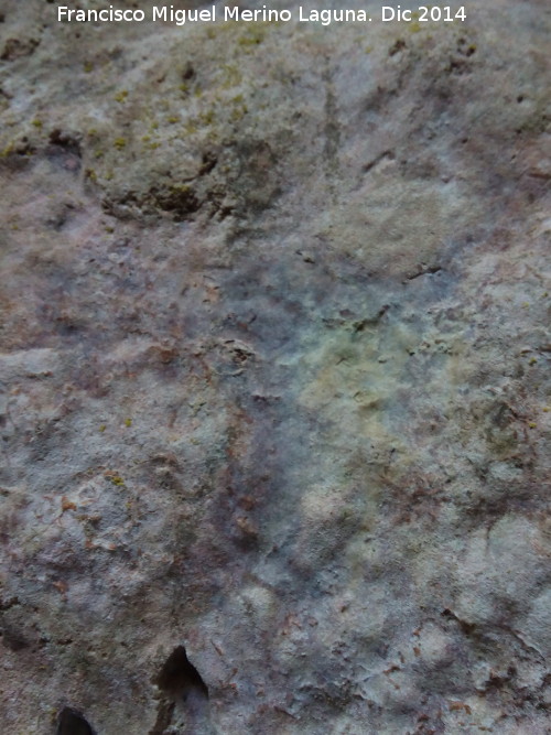 Pintura rupestre de la Cueva del Tocino - Pintura rupestre de la Cueva del Tocino. 