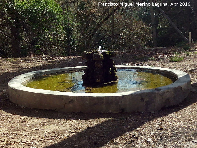 Fuente de Mata Bejid - Fuente de Mata Bejid. 