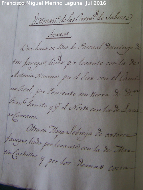 Cortijo de Pascualdomingo - Cortijo de Pascualdomingo. Catastro 1819