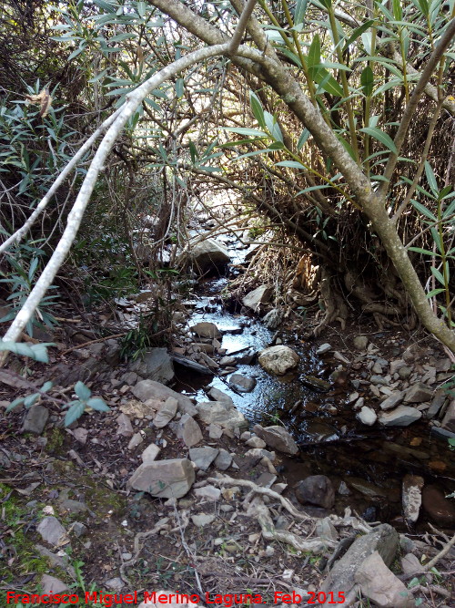 Arroyo de la Parrilla - Arroyo de la Parrilla. 