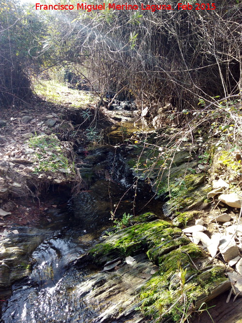 Arroyo de la Parrilla - Arroyo de la Parrilla. 