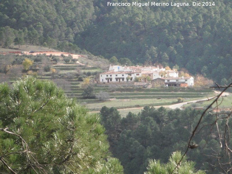 Bancales de Linarejos - Bancales de Linarejos. 