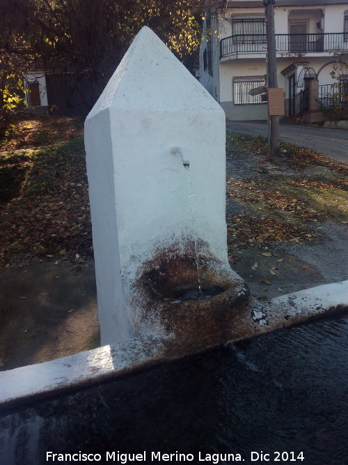 Fuente de Valdemarn Alto - Fuente de Valdemarn Alto. Cao