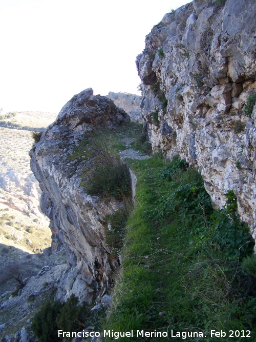 Camino de la Canalizacin - Camino de la Canalizacin. 