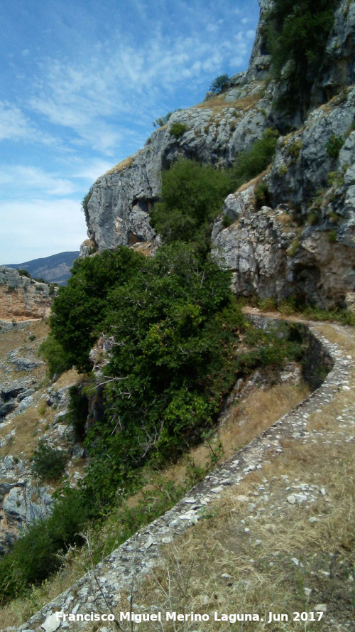 Camino de la Canalizacin - Camino de la Canalizacin. 